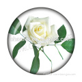 Pure white color flower pattern glass snaps button bulk sale ,12mm,18mm